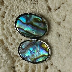 Abalone Shell 10x16mm Oval Earrings Natural Iridescent Blue Green Silver